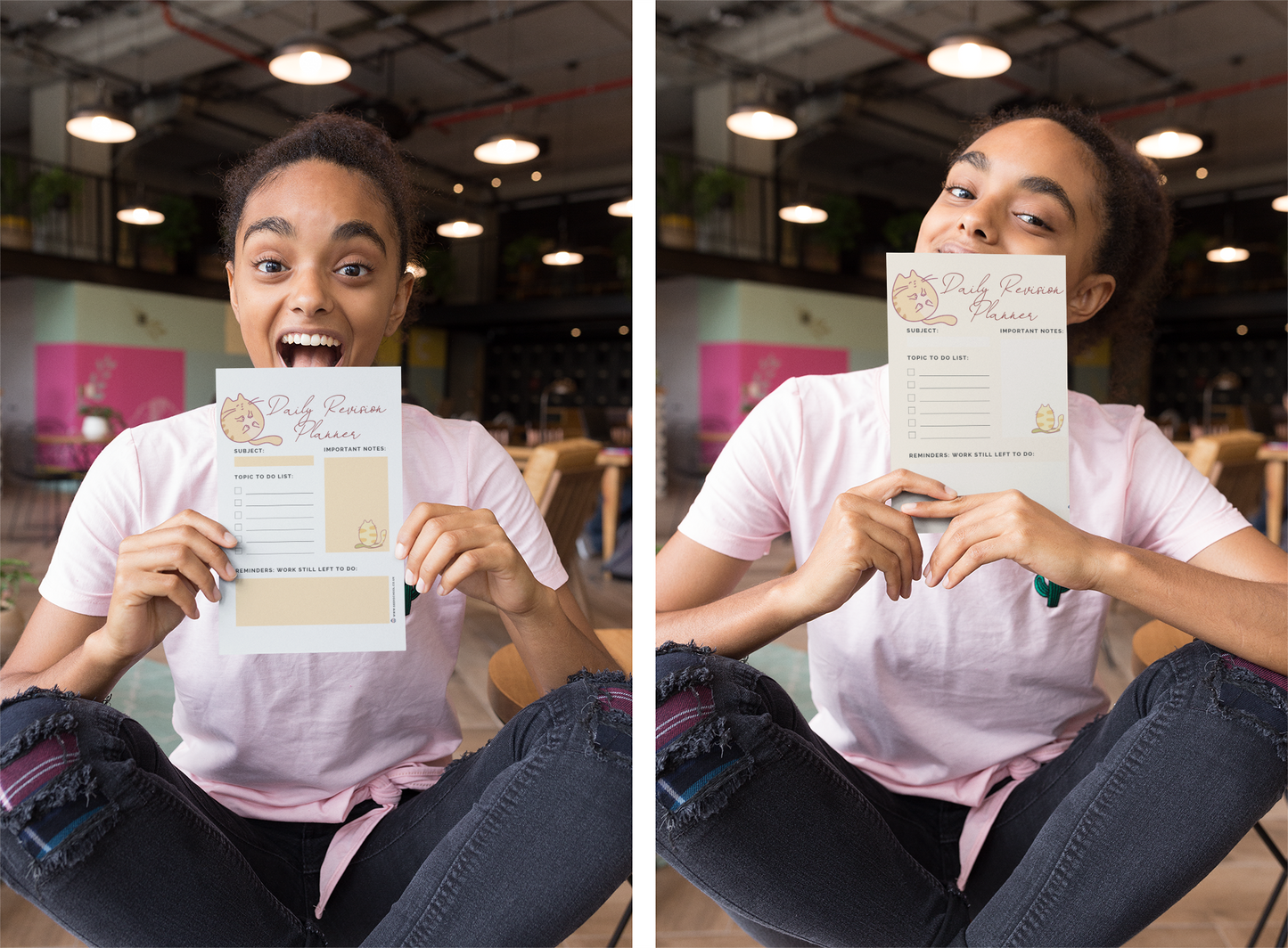Printed School/College Revision Planner - Llama Design